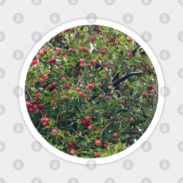 Apple Tree Magnet by One Creative Pup